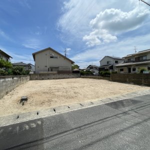 中区　福泊土地